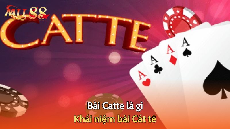 Bài Catte là gì