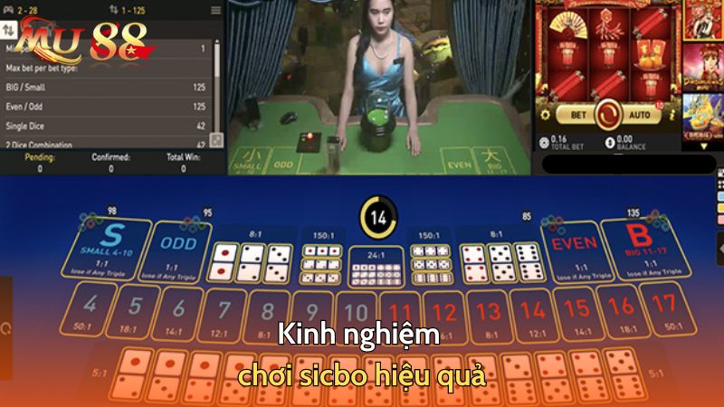 Kinh nghiệm chơi sicbo hiệu quả